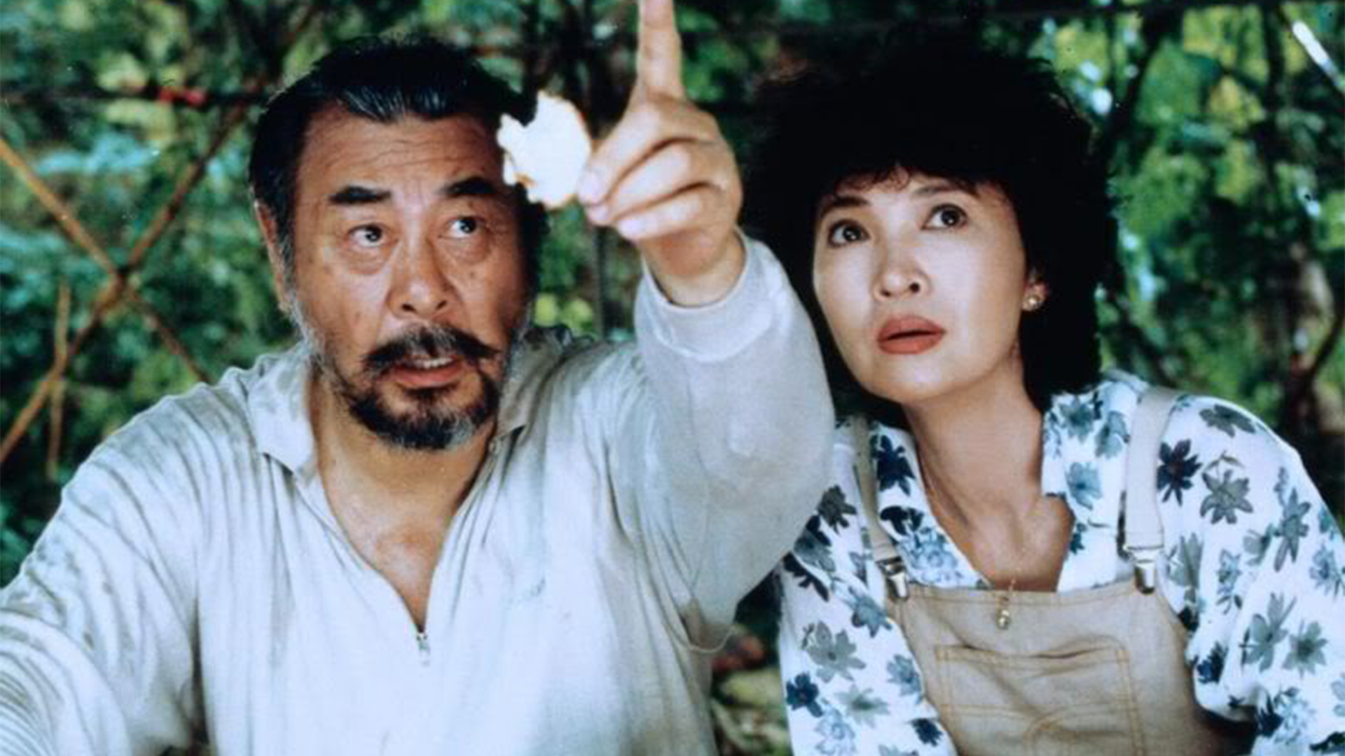 女人，四十