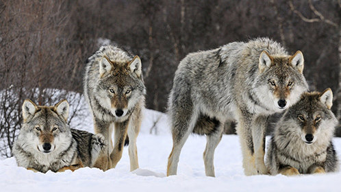 别惹我女儿的情感纠纷