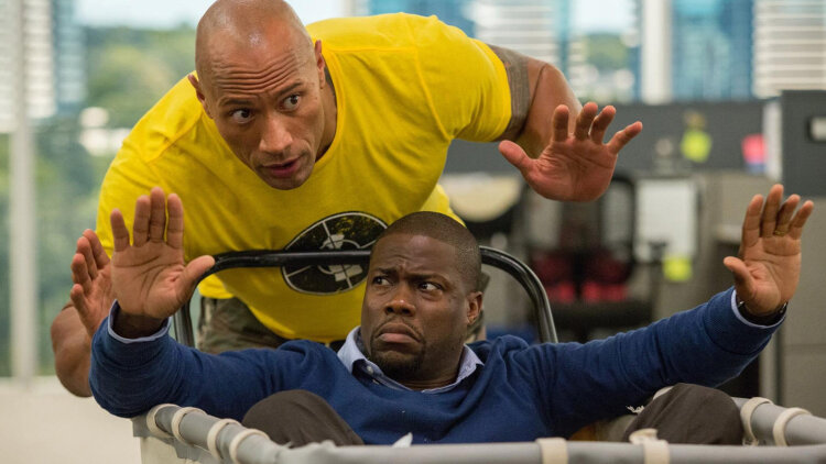 八零之锦鲤福宝宠上天：逆境中绽放的坚强