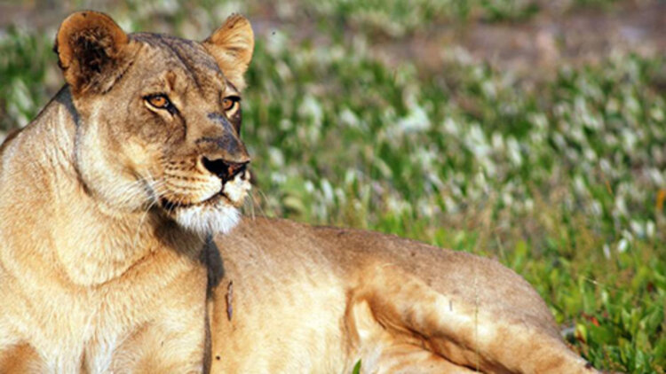 归乡短剧版·情感选择