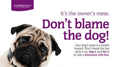 分类错误的常见原因