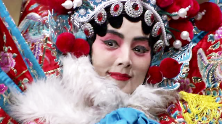 我与尼特女忍者的莫名同居生活