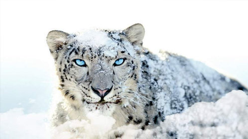 《霍先生宠妻无度》甜蜜初遇