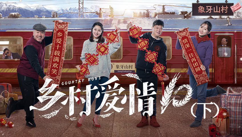 乡村爱情10（下）-封面1