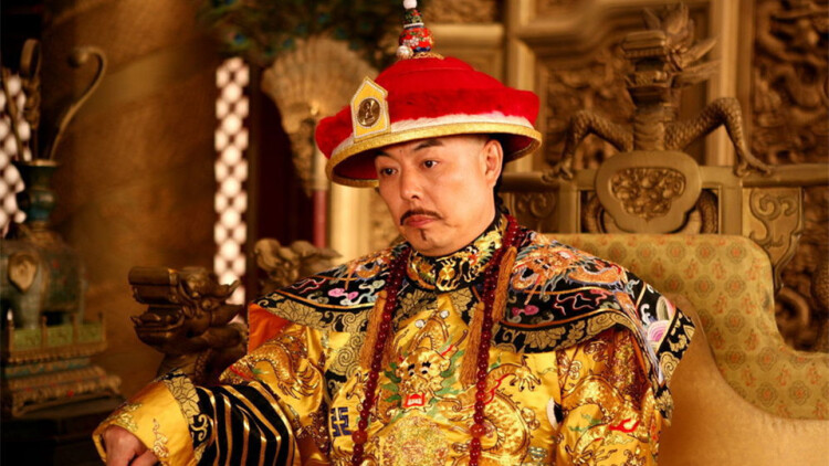 《动物的秘密生活》之奇妙开端