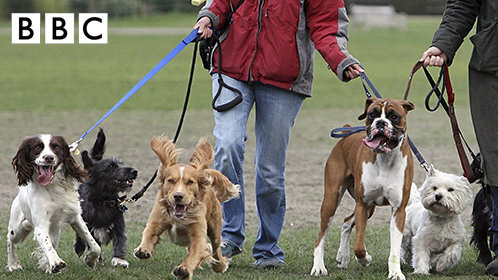 修仙二十天我成神了