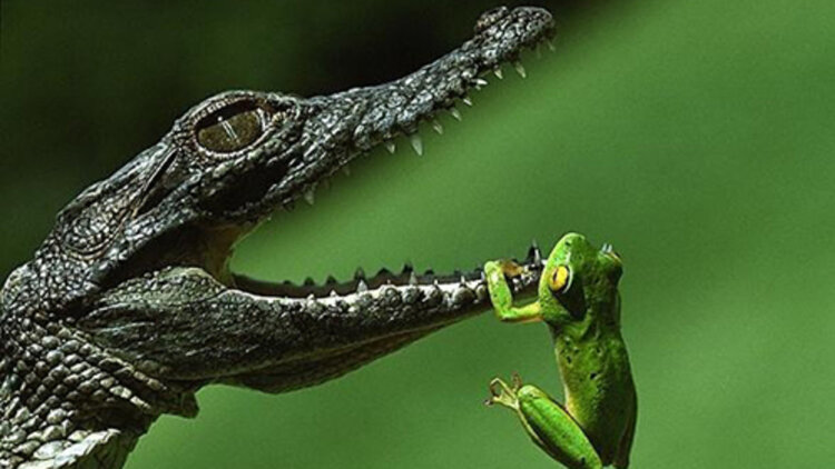 购买渠道的选择