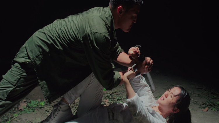 斯文医生脸红红八零杀猪婆追着哄