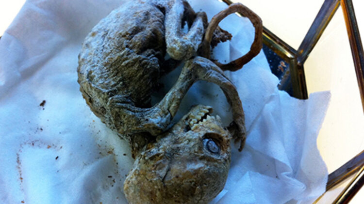 林芝社会问题：教育和就业的挑战