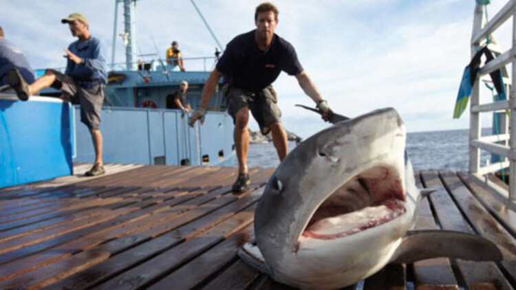 如何理解歇后语的深层含义