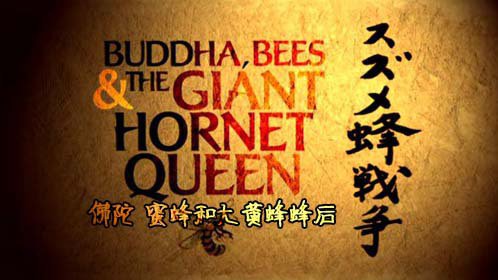 BBC佛陀、蜜蜂和大黄蜂蜂后-封面1