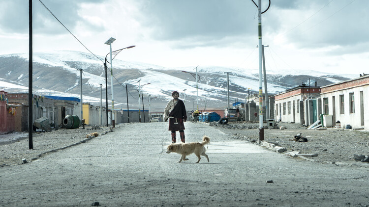 偏执大佬总想独占我&amp;纵情