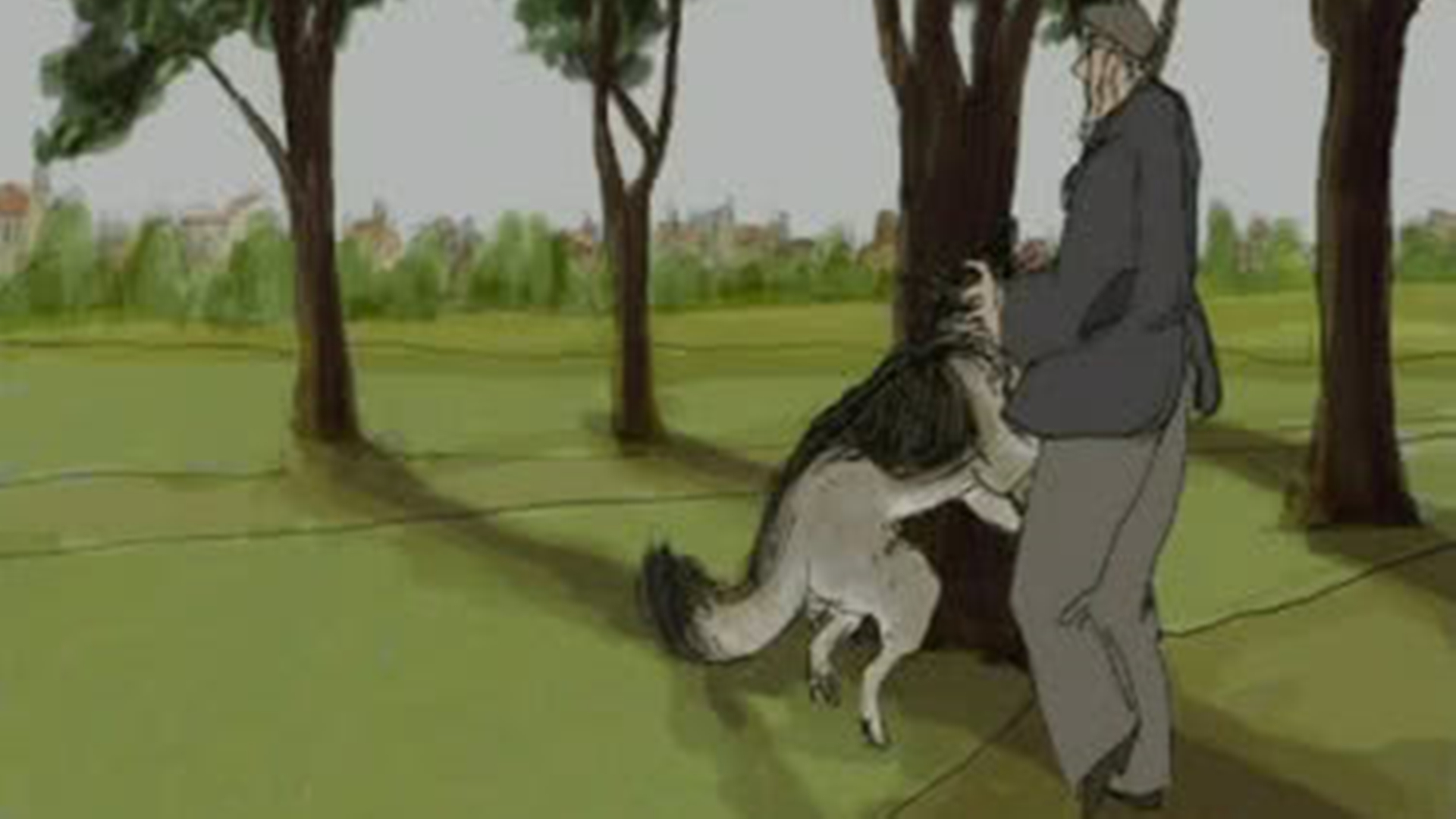 牧羊犬郁金香-封面1