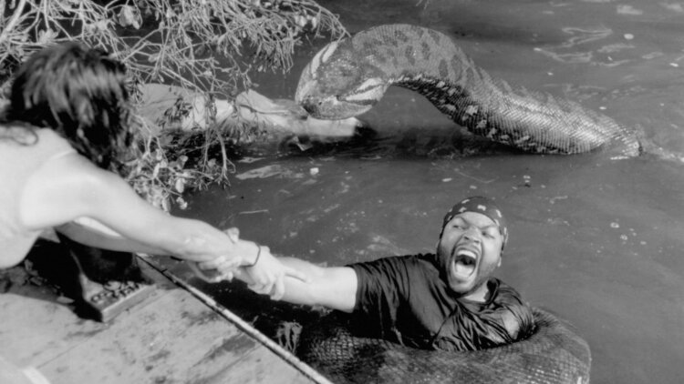 皇家次子女秘密组织