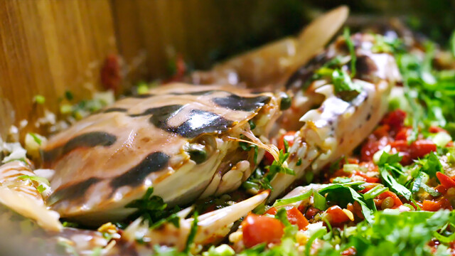 《我的老婆是狐妖》的危险降临