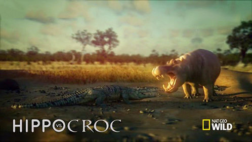 我靠手机买通古今