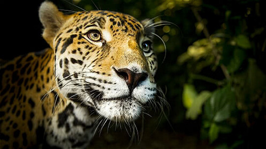 一场遇见爱情的旅行