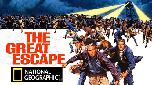 《重返二十岁做麻辣小宠妻》——意外重生的契机