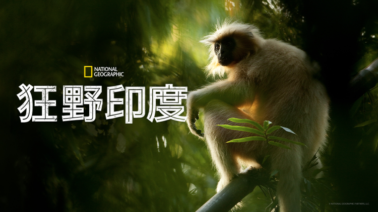 蠢蛋搞怪到永远