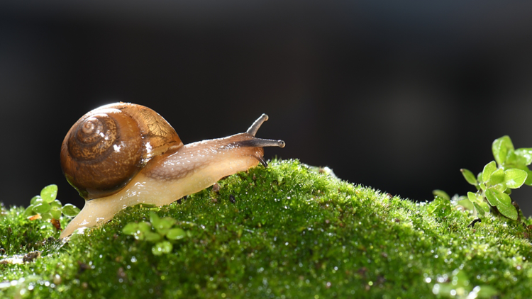 励志激励型个性签名