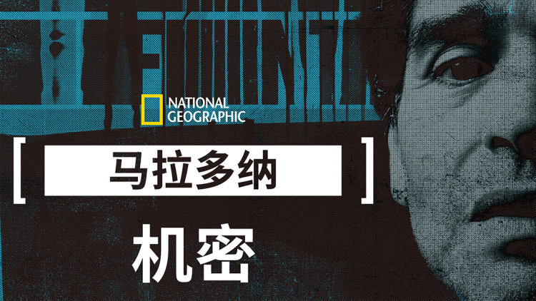 《新狂龙下山》最新选集