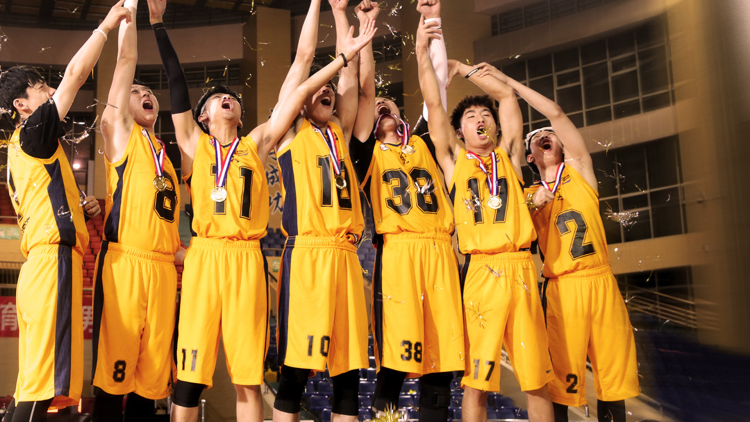 重生八零我和糙汉有崽了——意外与挑战