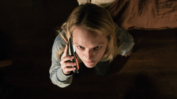 我应聘保镖总裁你咋当众求婚：初入职场的意外