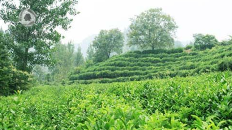 防弹少年团稍待未来