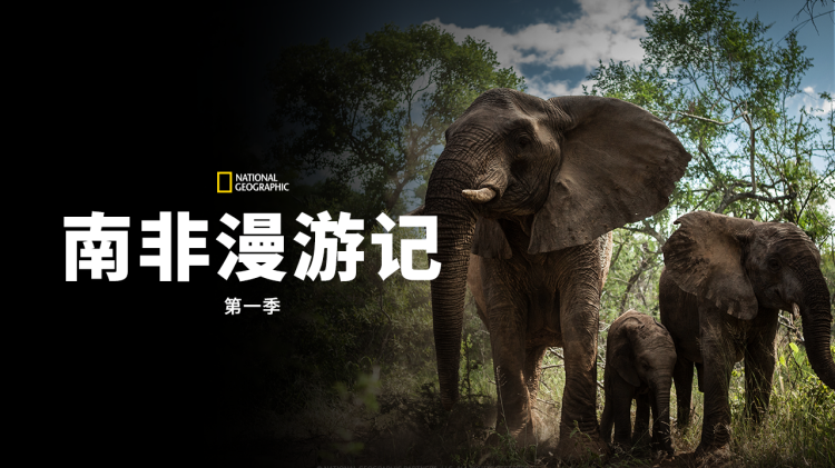 《闪婚夕阳红》的婚后磨合篇