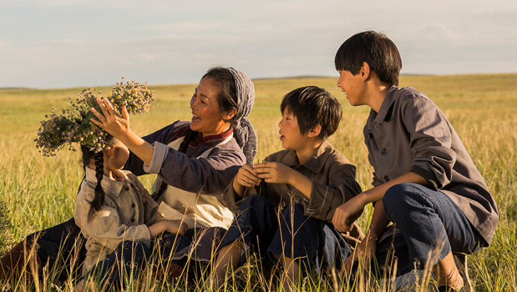 我的媳妇不好惹