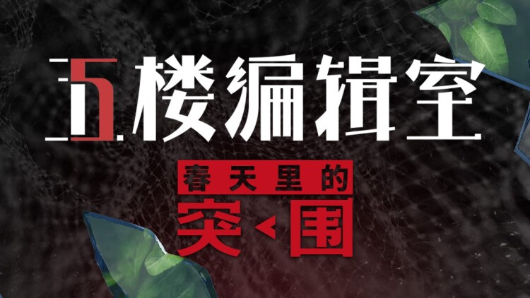 我和弟媳不得不说的故事