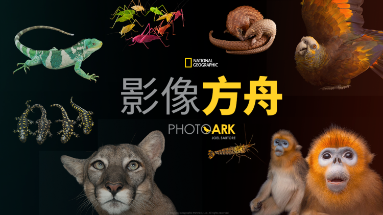 闹着玩——重新出发