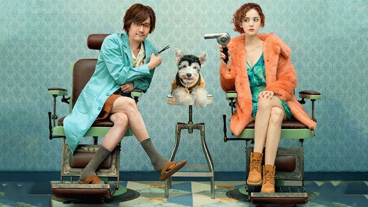 你玩失踪我玩真的