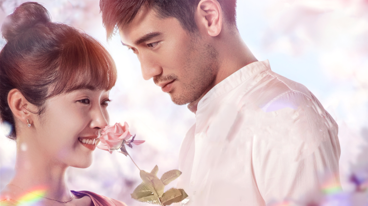 语言模糊性与分类误差