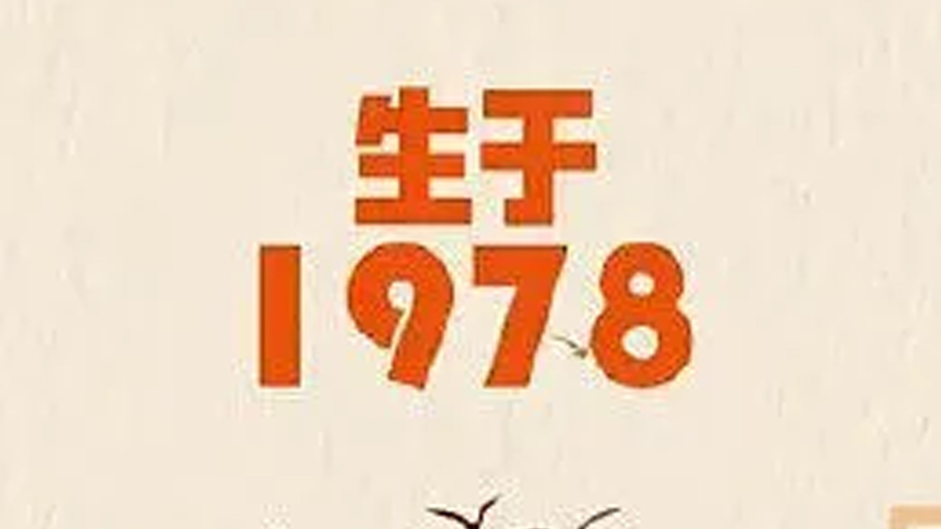 生于1978