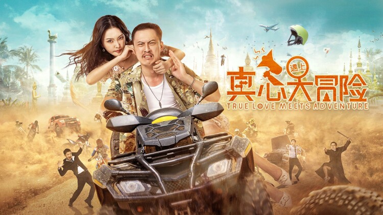 一个人的星光：风雨中的坚持