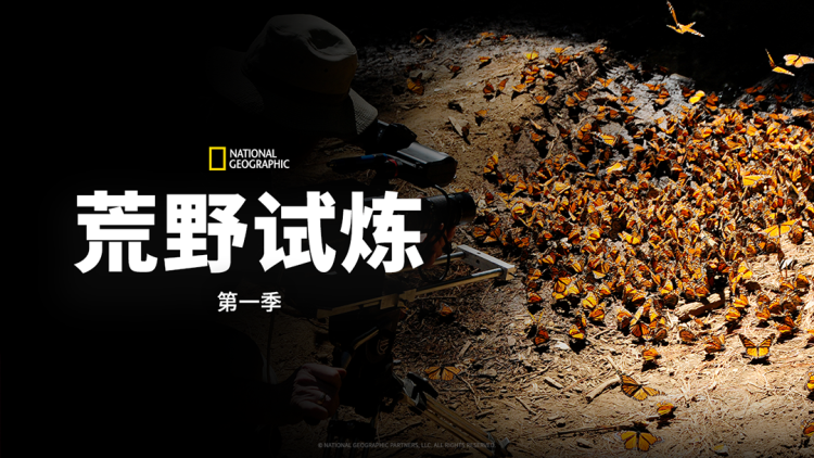 石纪元第四季·文明重建的序章