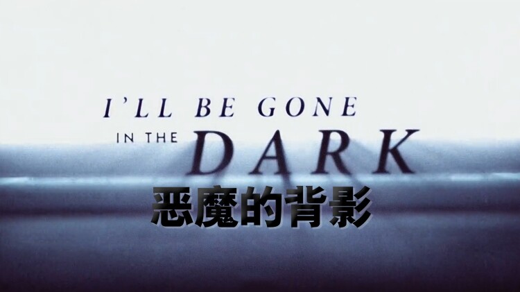 从里约女孩到巴西天后阿妮塔的星路历程