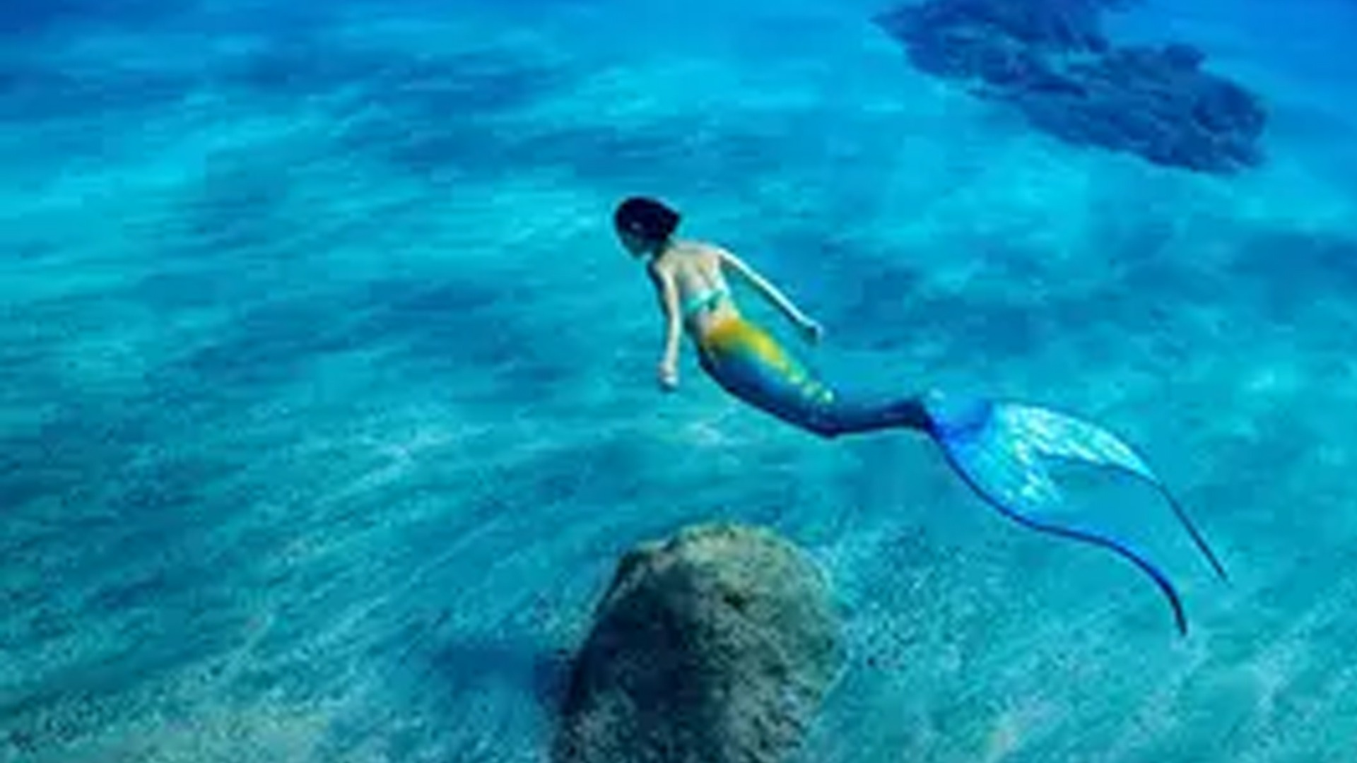 海人鱼