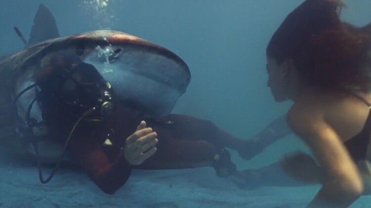 寒门女冠军：平凡起点