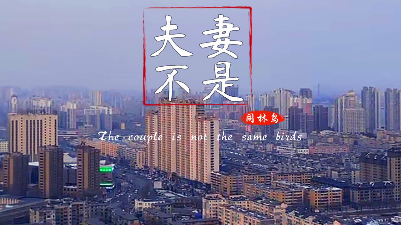 夫妻不是同林鸟-封面1