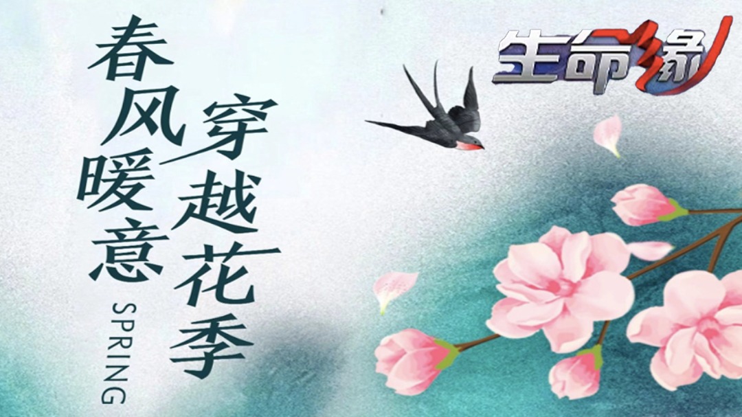 生命缘 第12季-封面1