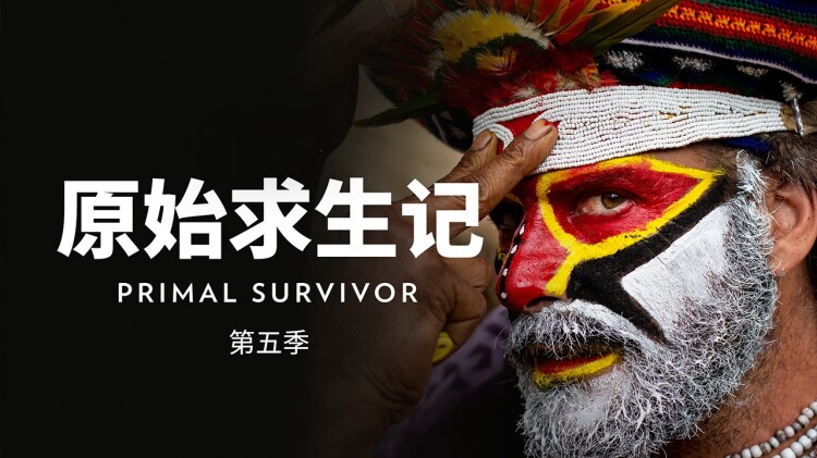 积分的社交功能：提升互动体验