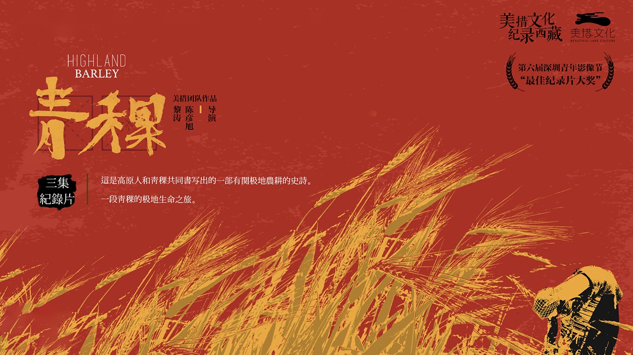 青稞-封面1