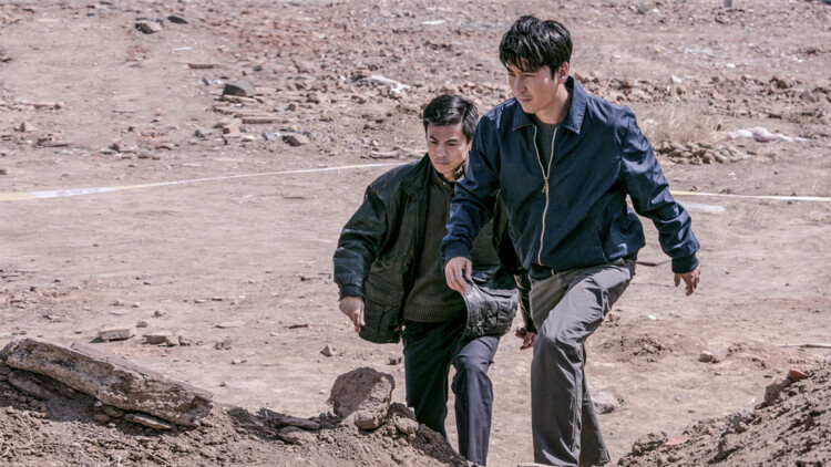 顺其自然的日子