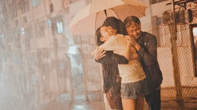 错把玫瑰当荆棘