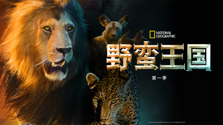 丑妃倾天下禁欲王爷宠疯了