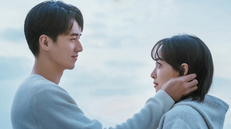 《樱桃琥珀》之情感涟漪