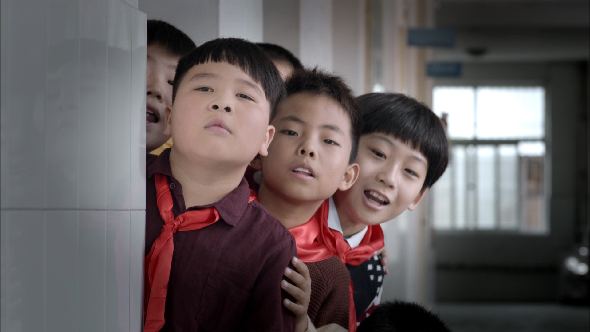双筒望远镜之兔子的朋友是乌龟-封面1