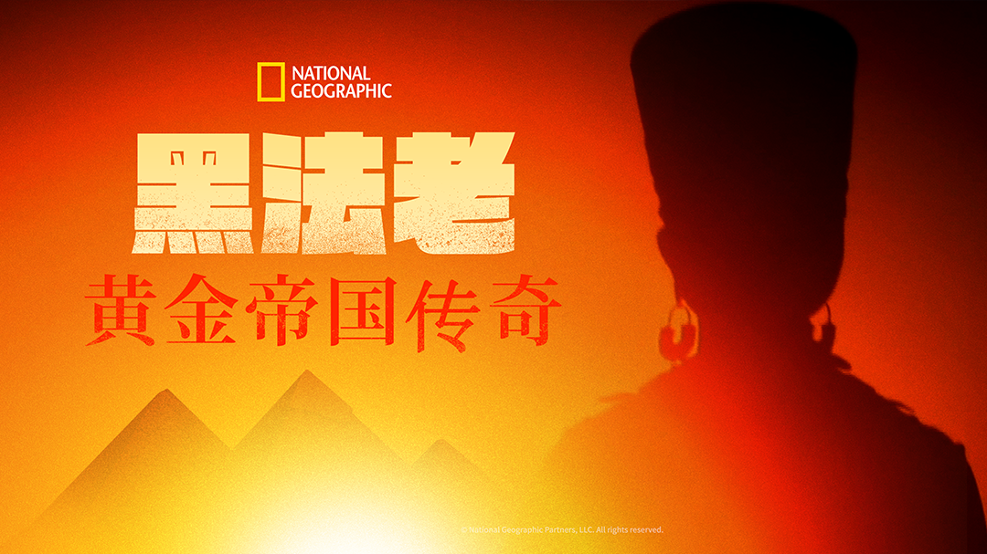 黑法老：黄金帝国传奇-封面1